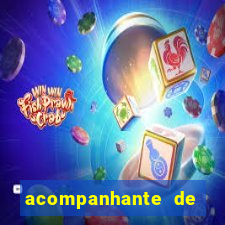acompanhante de luxo porto feliz